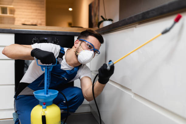 Best Pest Inspection Near Me  in Sconsin Dells, WI