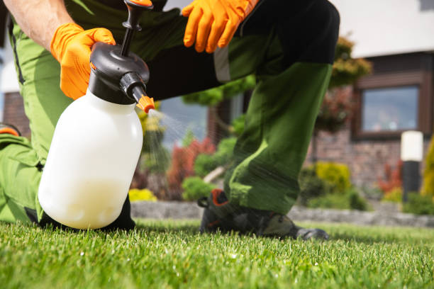 Best Affordable Pest Control Services  in Sconsin Dells, WI