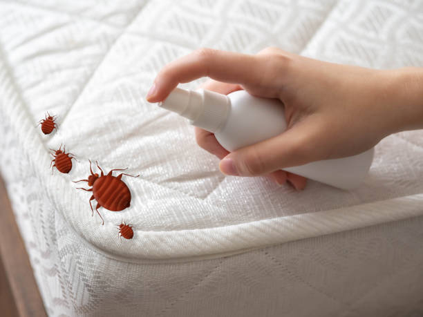 Best Residential Pest Control  in Sconsin Dells, WI