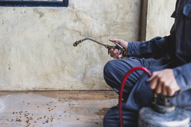 Best Pest Prevention Services  in Sconsin Dells, WI